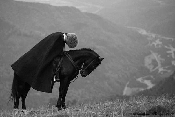 chechen-black-horse