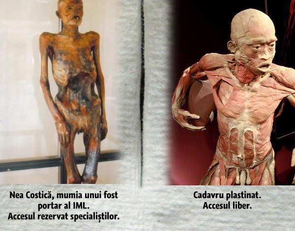 expozitie-corpuri-plastinate-vs-muzeul-mina-minovici