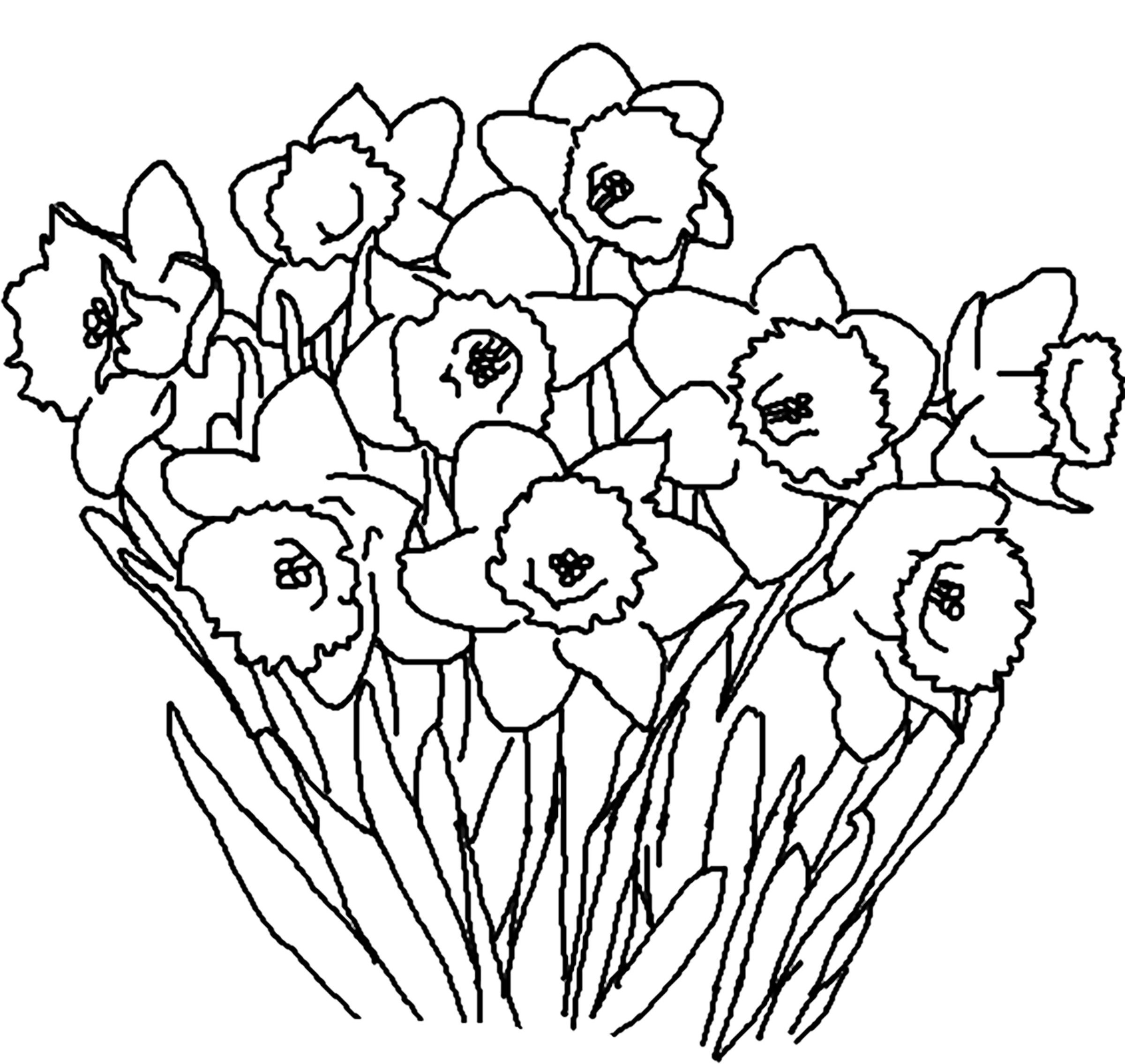 Flori de primăvară de colorat Dragoş Şerban