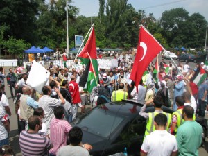 protest-pro-gaza